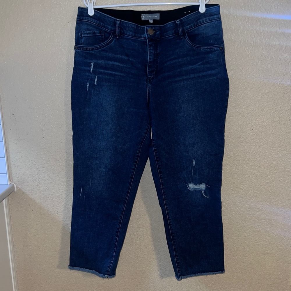 Wit & Wisdom 'Ab' Solution Skinny Stretch Crop Jeans / Size 20 W